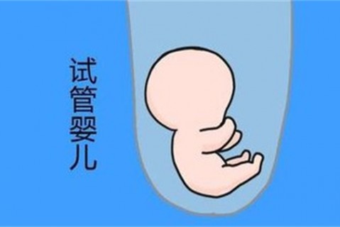 培养宁波捐卵宝宝艺术细胞的小技巧