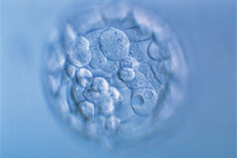http://ningbo.huochezhan.net/post/200.html|宁波新闻中心