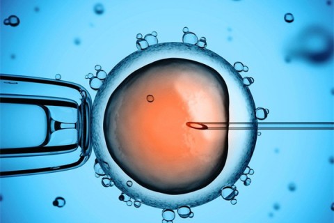 http://ningbo.huochezhan.net/post/199.html|宁波供卵助孕